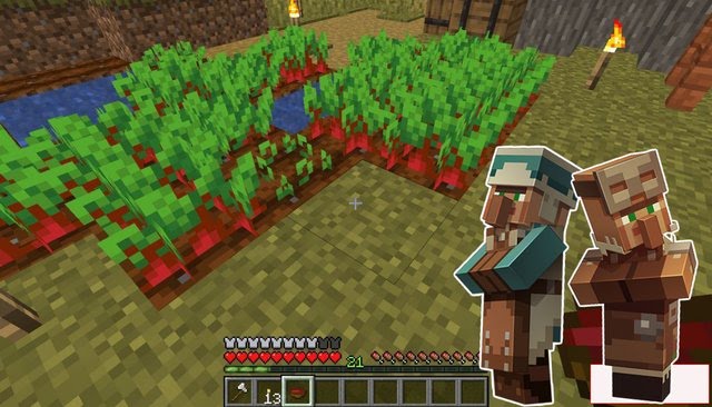 minecraft-beetroot-TTP