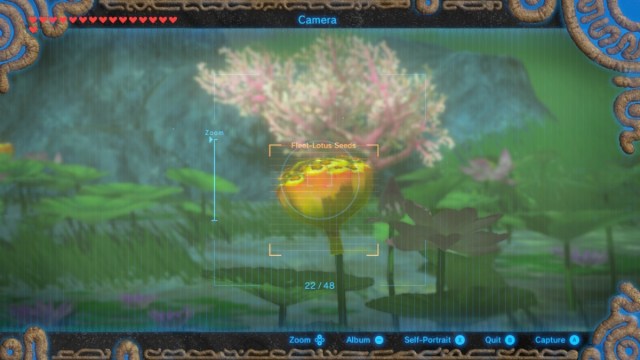 photographing lotus seeds in zelda